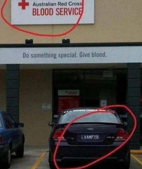 Vampyr Gives Blood