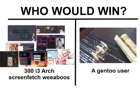 300 i3 Arch Weaboos vs Gentoo User
