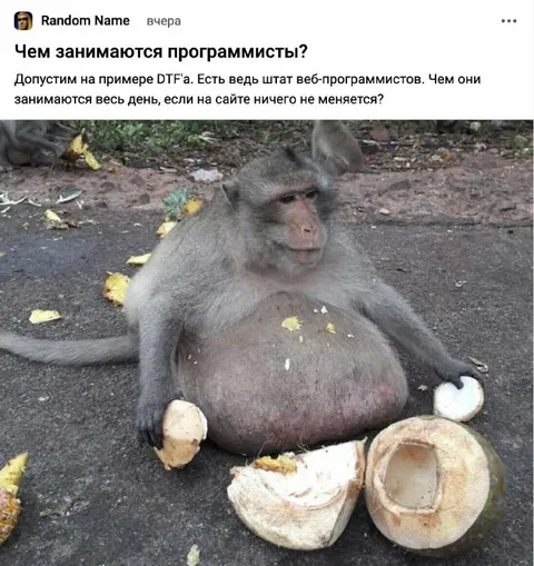 Чем занимаются программисты весь день