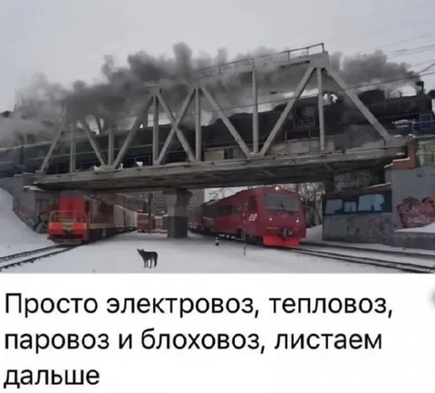 Электровоз, тепловоз и блоховоз