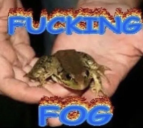 Fucking Frog Reaction Meme