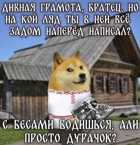 Догe пишет всё задом наперёд