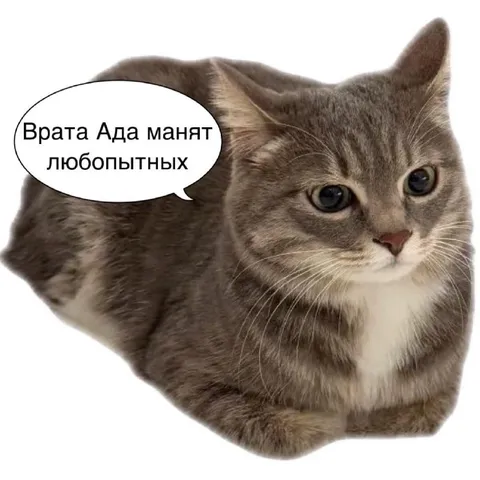 Врата Ада манят любопытных