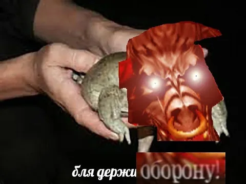 Бля, держи черепаху