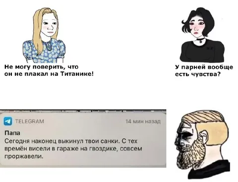 Санки, которые висели в гараже