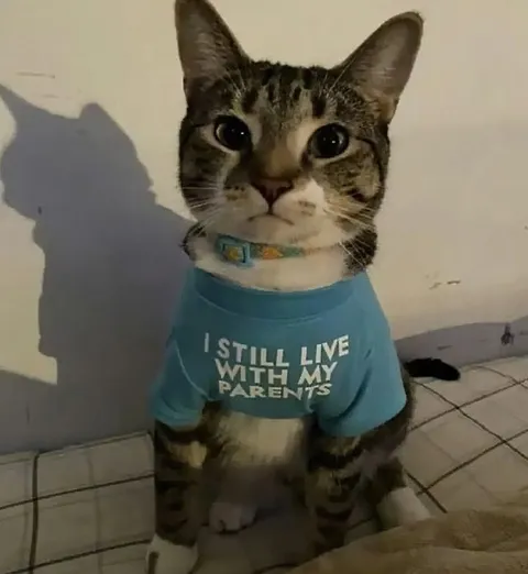 Cat Still Lives With Parents