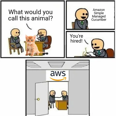 Amazon Simple Managed Cucumber Interview