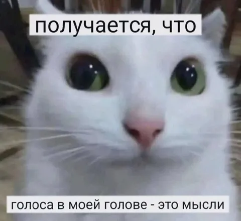 Голоса в моей голове