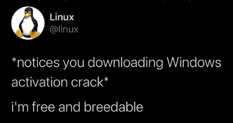 Linux Notices Windows Crack