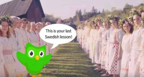 Last Swedish Lesson