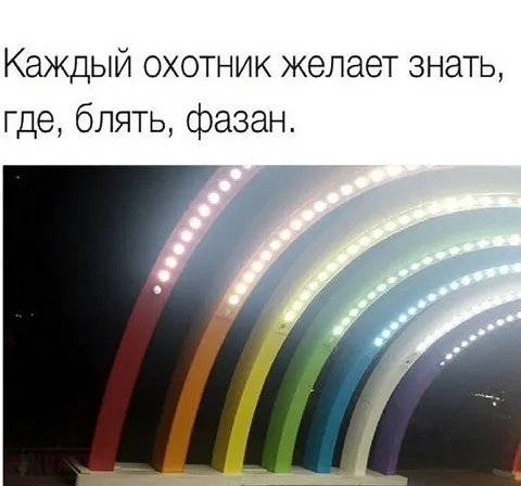 Каждый охотник ищет фазана