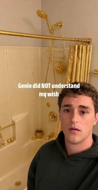 Genie Did Not Understand My Wish