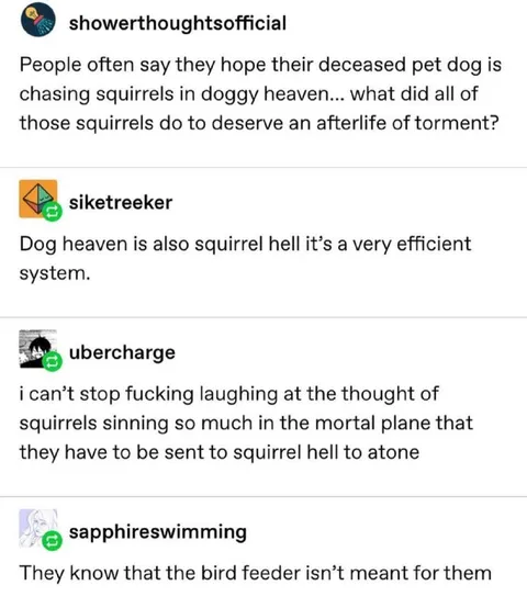 Squirrel Hell Is Efficient