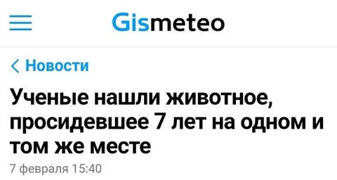 Животное семь лет на месте