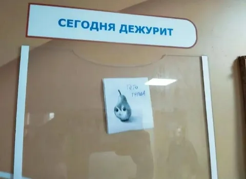 Сегодня дежурит груша
