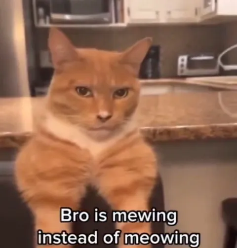 Bro is mewing instead of meowing