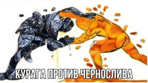 Курага против чернослива