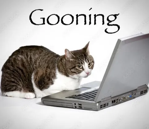 Gooning Cat at Laptop