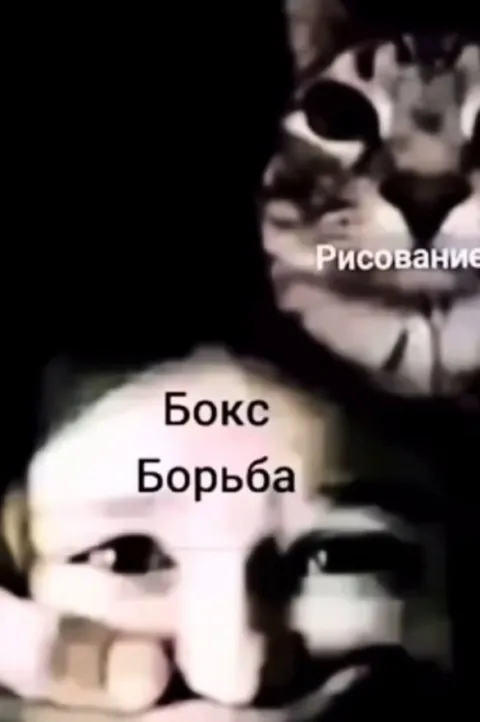 Бокс, борьба и рисование