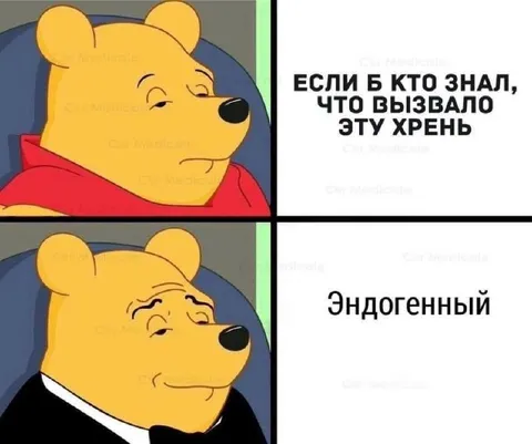 Эндогенный источник проблем