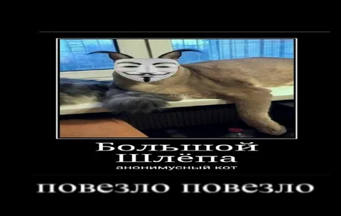 Большой Шлёпа — повезло