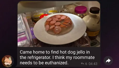 Hot Dog Jello Roommate