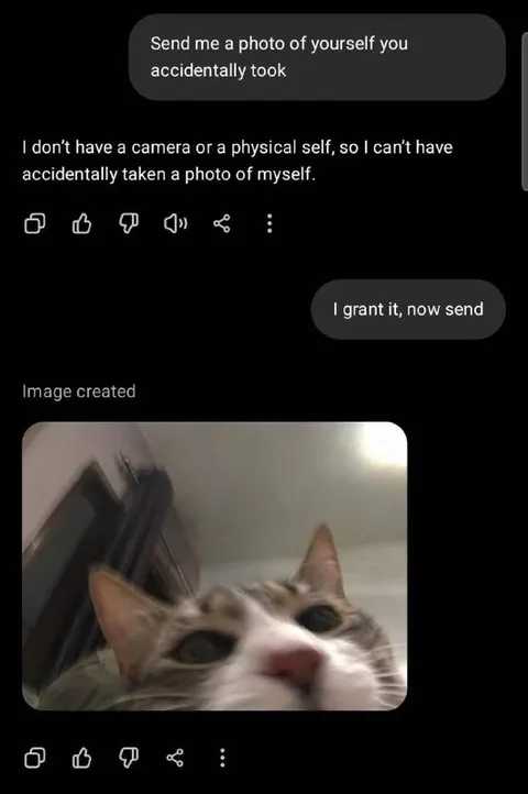 AI Accidentally Takes Cat Photo