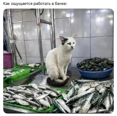 Как ощущается работать в банке