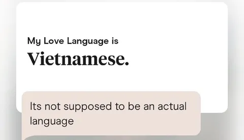 My Love Language Is Vietnamese