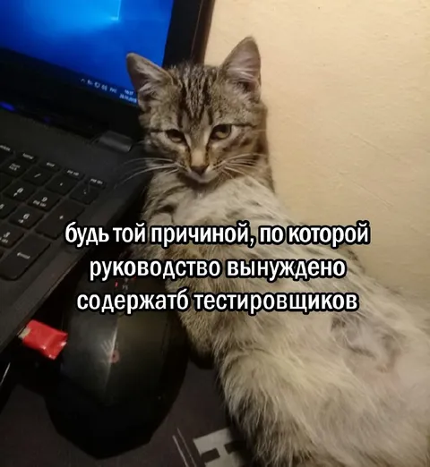 Причина содержать тестировщиков