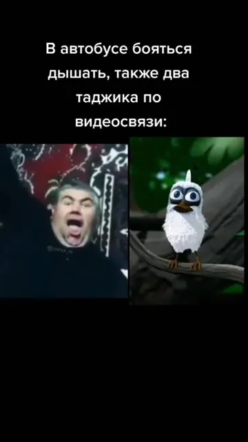 Два таджика по видеосвязи