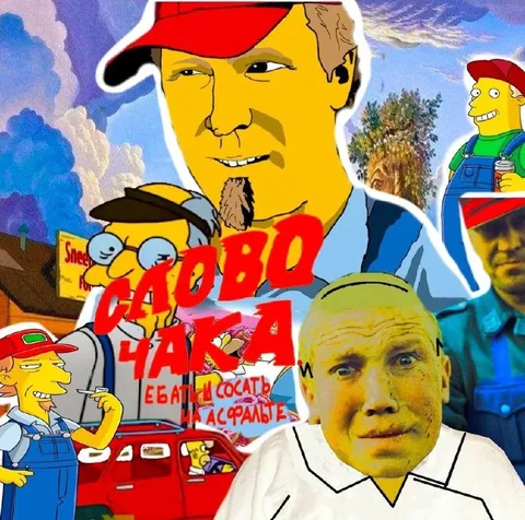 САВО ЧАЙКА на асфальте
