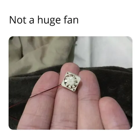 Not a Huge Fan