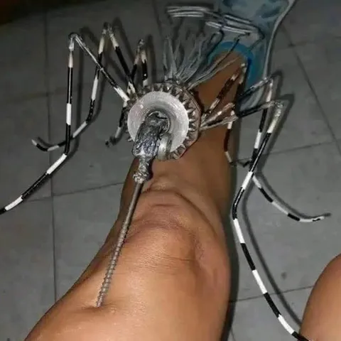 Паук на ноге