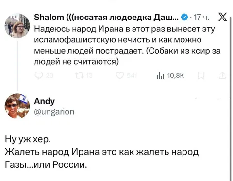 Жалеть народ Ирана