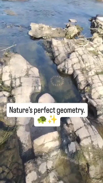 Nature’s Perfect Geometry
