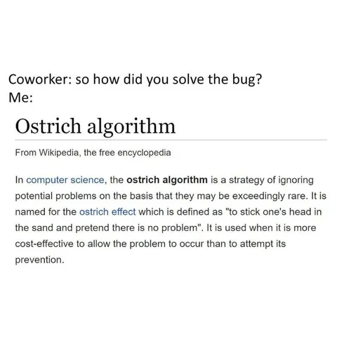 Ostrich Algorithm Bug Solution