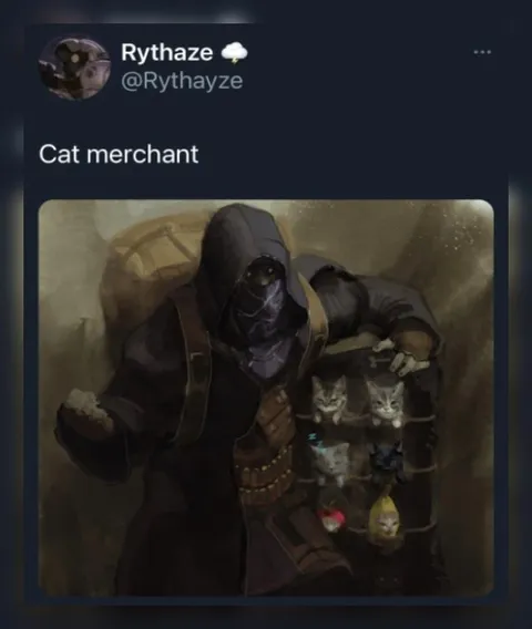Cat Merchant