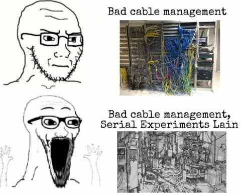 Bad Cable Management: Serial Experiments Lain
