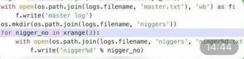 Offensive Variable Names in Code