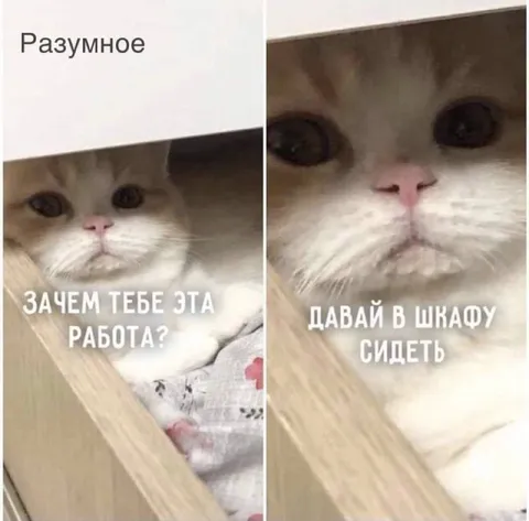 Разумное объяснение работы