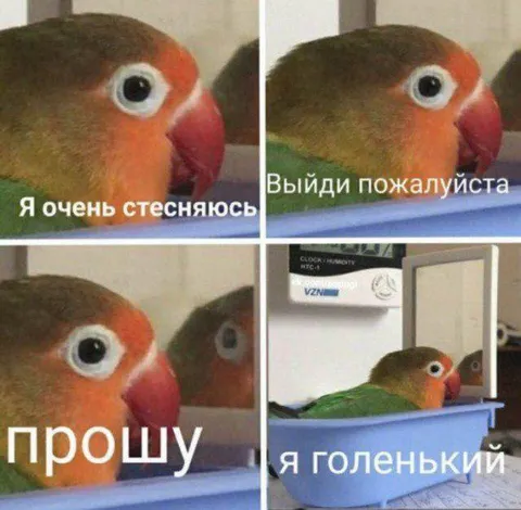 Я очень стесняюсь