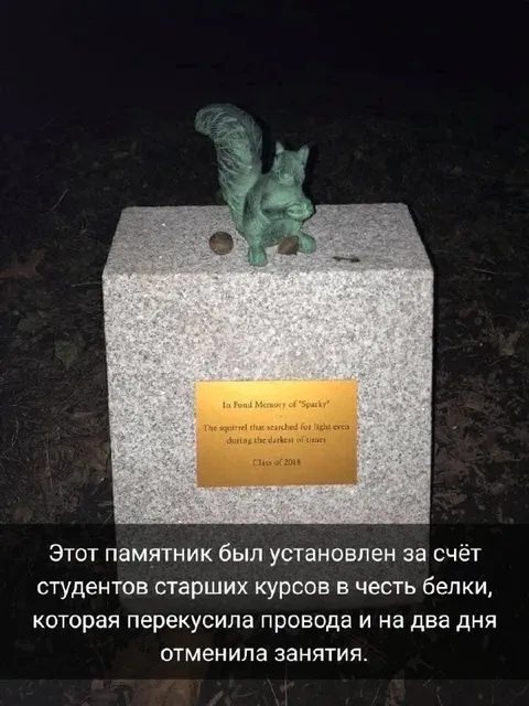 Памятник белке, отменившей занятия