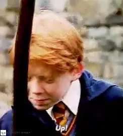 Ron Weasley Gets Hit by a Pole