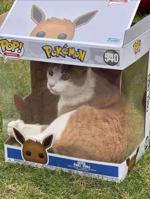 Cat Cosplaying as Eevee