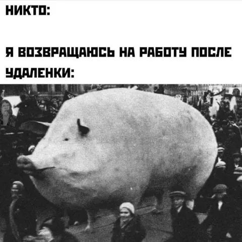 Возвращение на работу после удалёнки