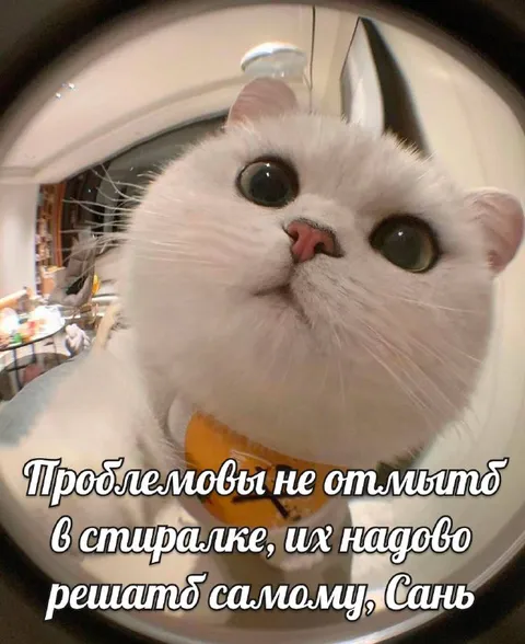 Проблемы не отмыть в стиралке