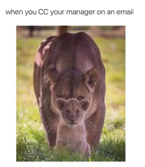 CC Your Manager on Email