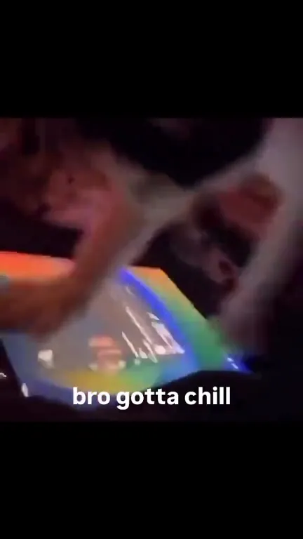 Bro Gotta Chill Cat