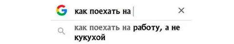 Как поехать на работу, а не кукухой